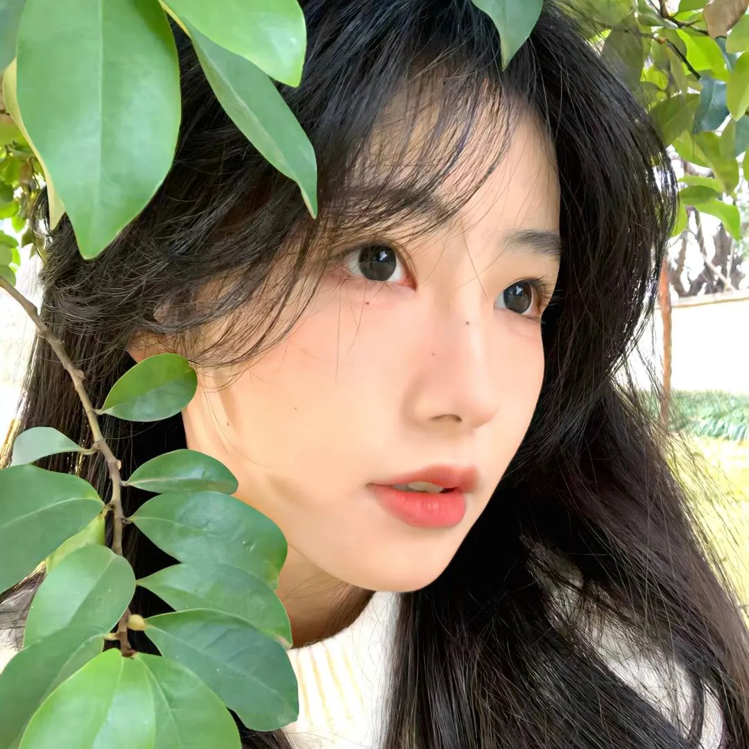 新蝶恋花